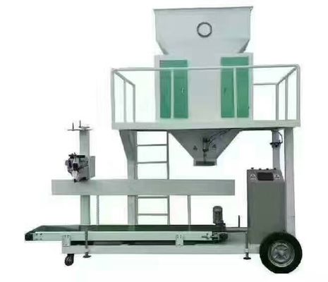 qualidade  Advanced Food China Bucket Double Particle Packaging Machine Has High Cost Performance fábrica